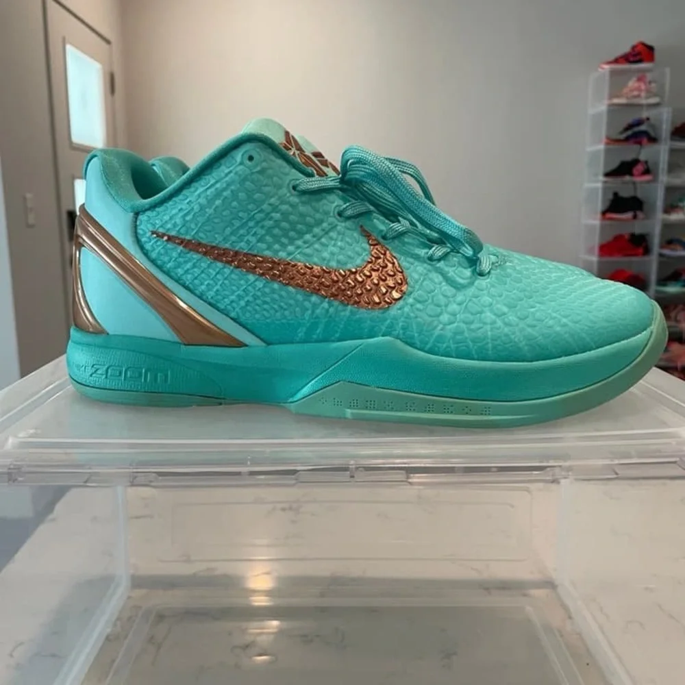 Nike Men’s Teal Basketball Sneakers with Metallic Copper Swoosh
